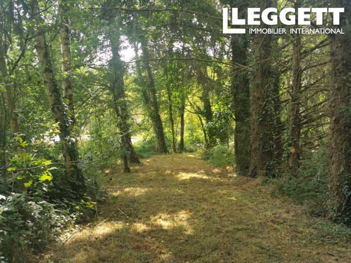 Image No.8-1 Bed Land for sale