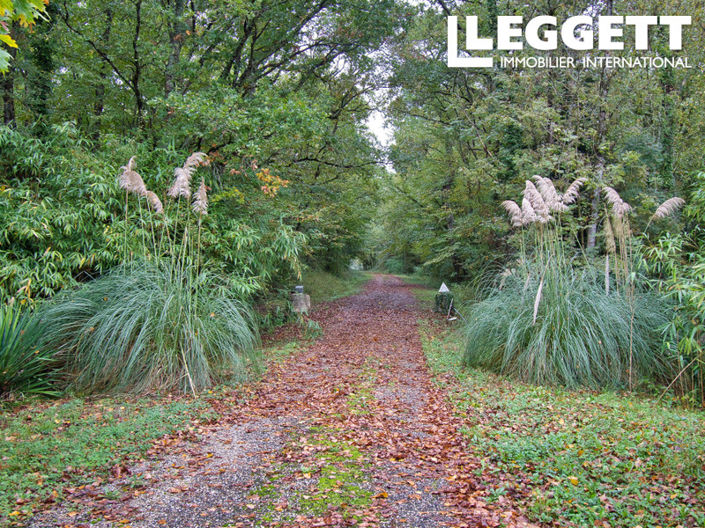 Image No.10-4 Bed House for sale