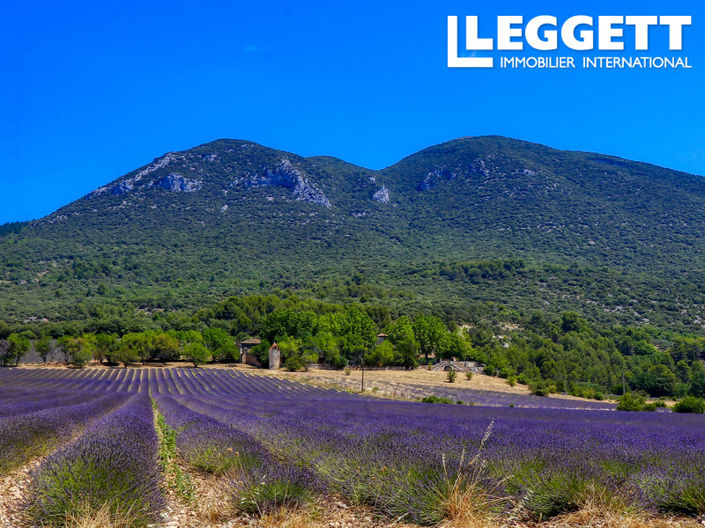 Image No.2-16 Bed Chateaux for sale