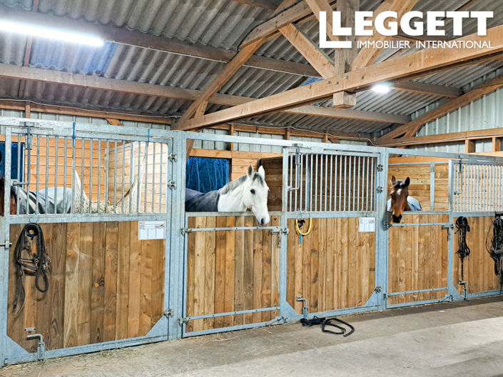 Image No.9-4 Bed House for sale