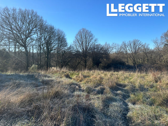 Image No.8-Bar for sale