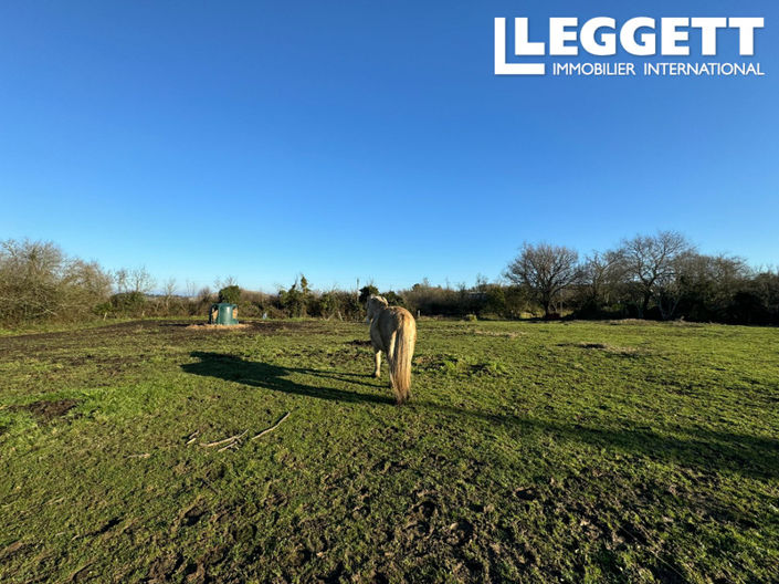 Image No.3-8 Bed House for sale