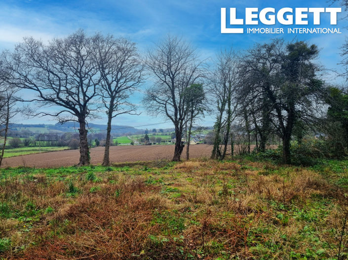 Image No.9-4 Bed House for sale