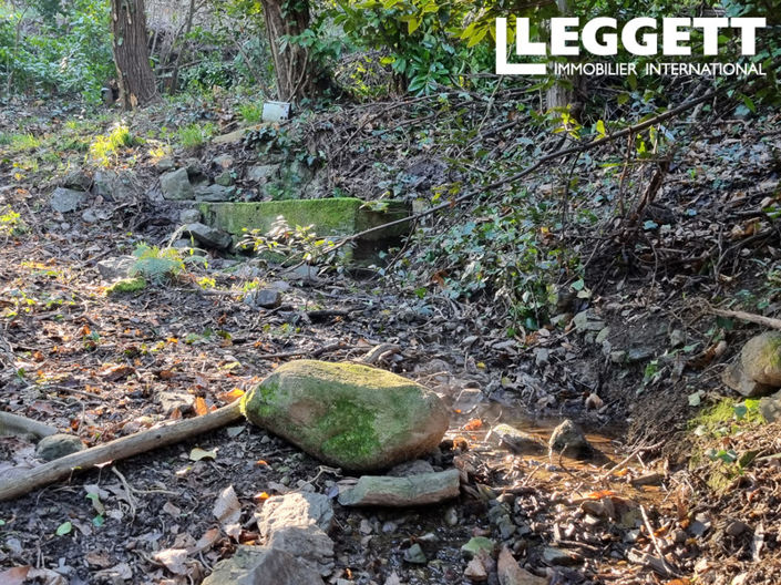 Image No.10-Bar for sale