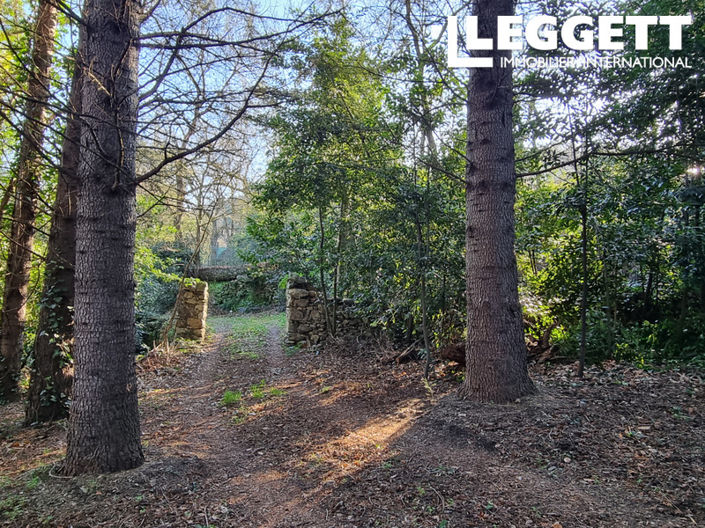 Image No.3-Bar for sale