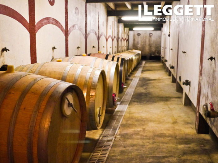 Image No.7-Commercial à vendre à Castelviel