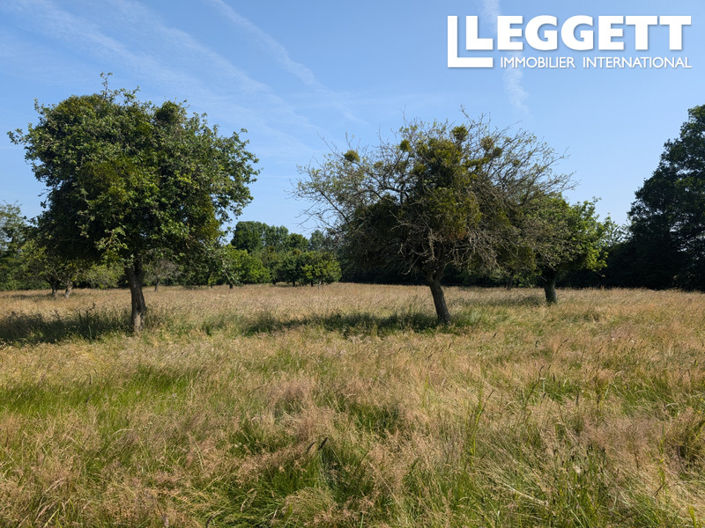 Image No.9-4 Bed House for sale