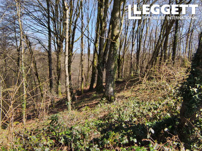 Image No.10-1 Bed House for sale