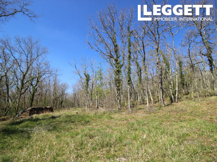 Image No.7-Commercial for sale