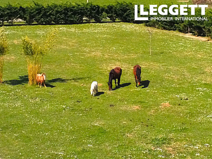 Image No.9-4 Bed House for sale