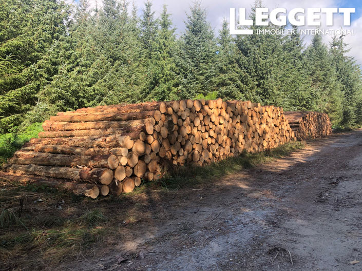 Image No.2-6 Bed House for sale