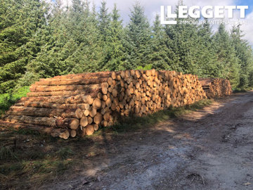 ahr0chm6ly9jzg4uagvzdglhlmltbw8vaw1hz2uvvevom