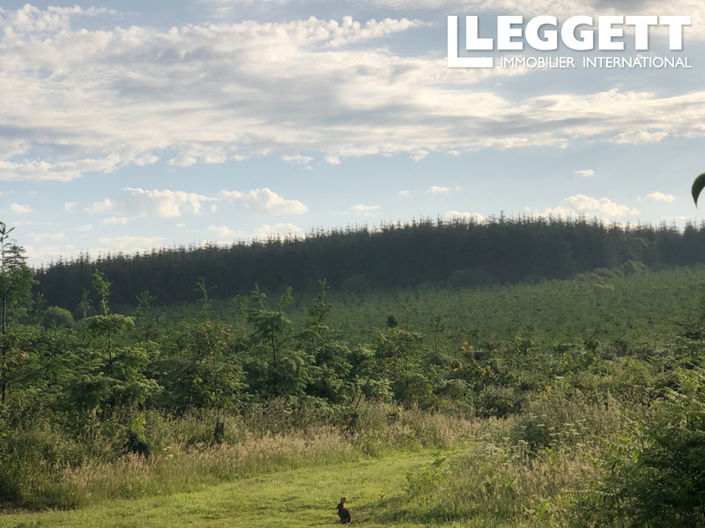 Image No.3-6 Bed House for sale