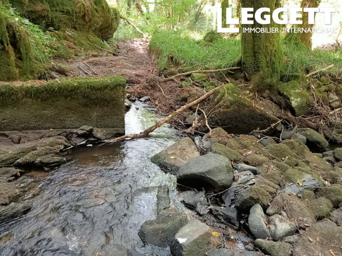 Image No.4-House for sale