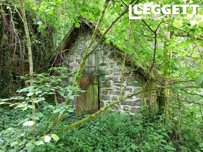 Image No.5-House for sale