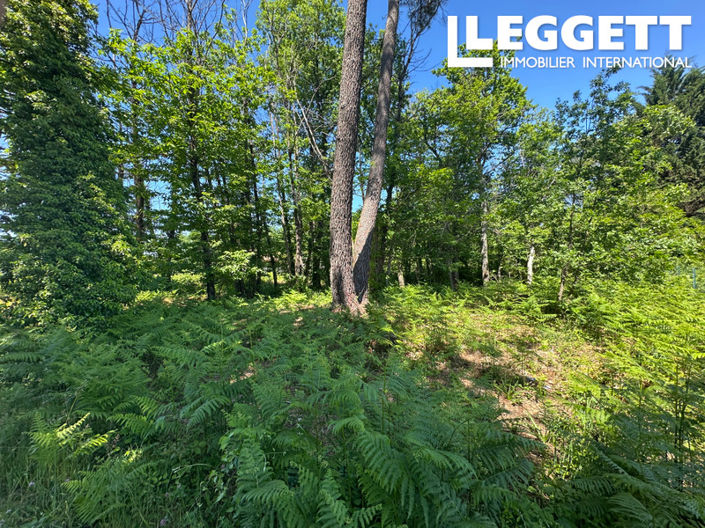 Image No.2-Land for sale