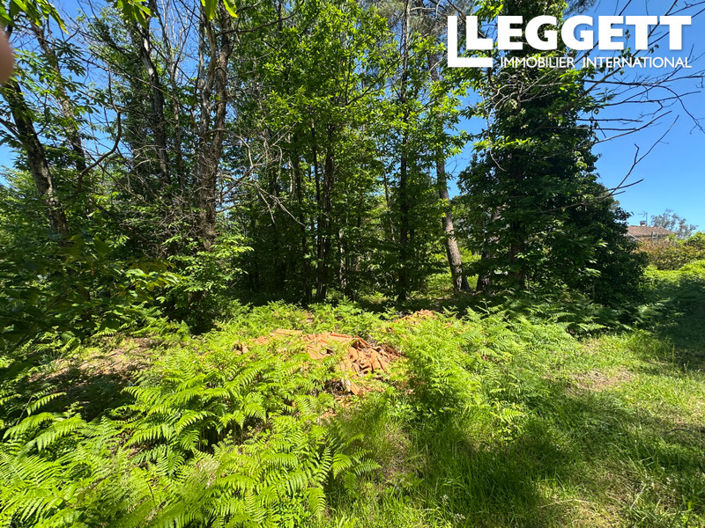 Image No.5-Land for sale