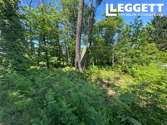 Image No.6-Land for sale