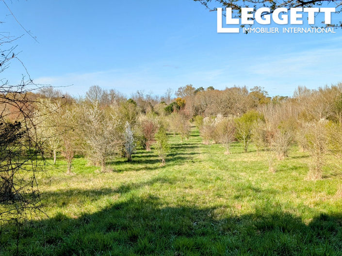 Image No.8-5 Bed House for sale