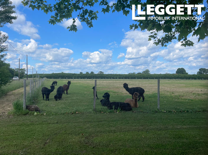 Image No.8-7 Bed Commercial for sale