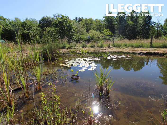 Image No.3-6 Bed House for sale