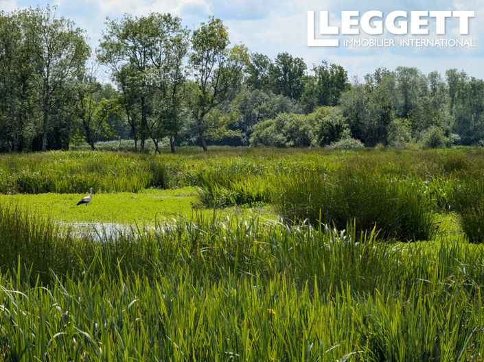 Image No.3-Land for sale