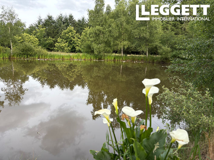 Image No.8-2 Bed House for sale