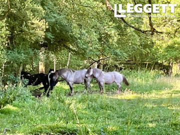 ahr0chm6ly9jzg4uagvzdglhlmltbw8vaw1hz2uvvevom