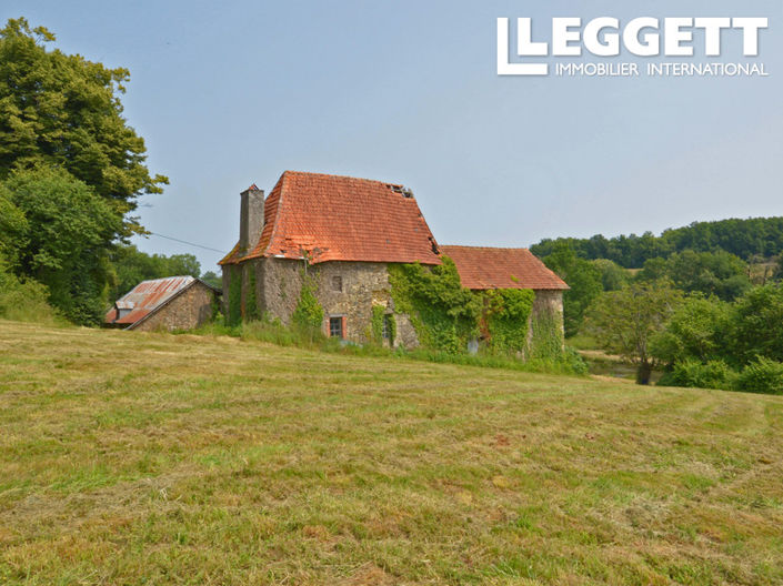 Image No.1-Chateaux for sale