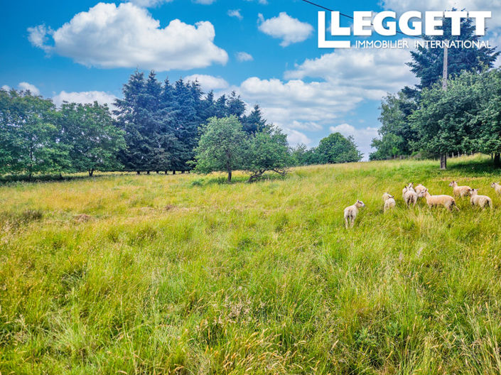 Image No.5-4 Bed House for sale