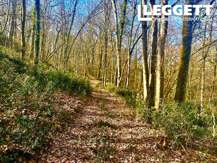 Image No.9-5 Bed House for sale