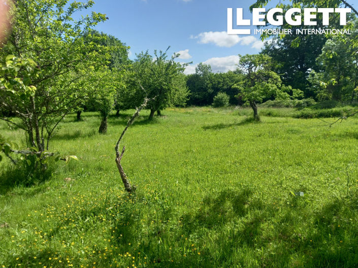 Image No.3-7 Bed House for sale