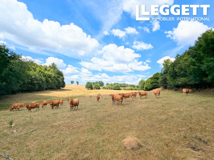 Image No.7-5 Bed House for sale