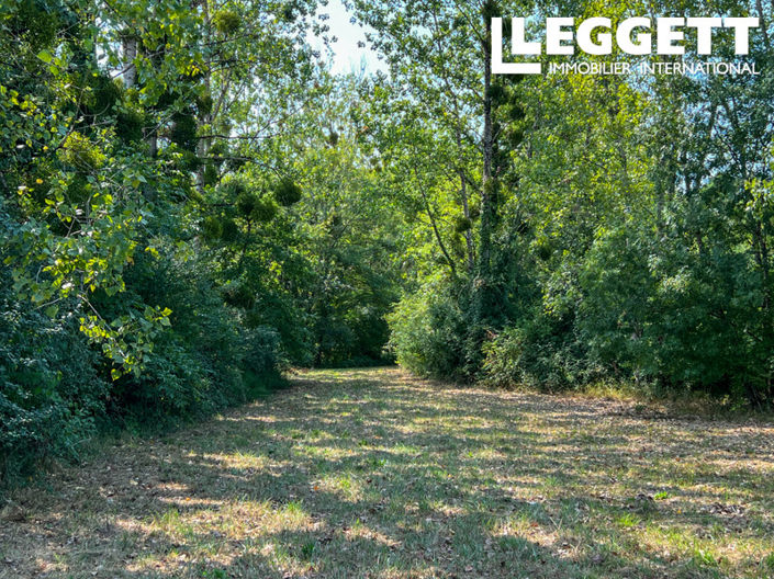 Image No.5-5 Bed House for sale