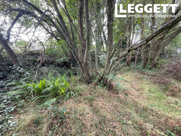 ahr0chm6ly9jzg4uagvzdglhlmltbw8vaw1hz2uvvevom