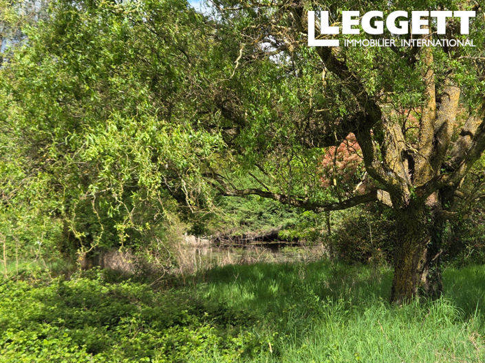 Image No.10-3 Bed House for sale