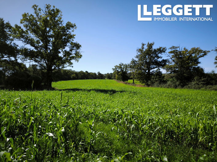 Image No.4-House for sale