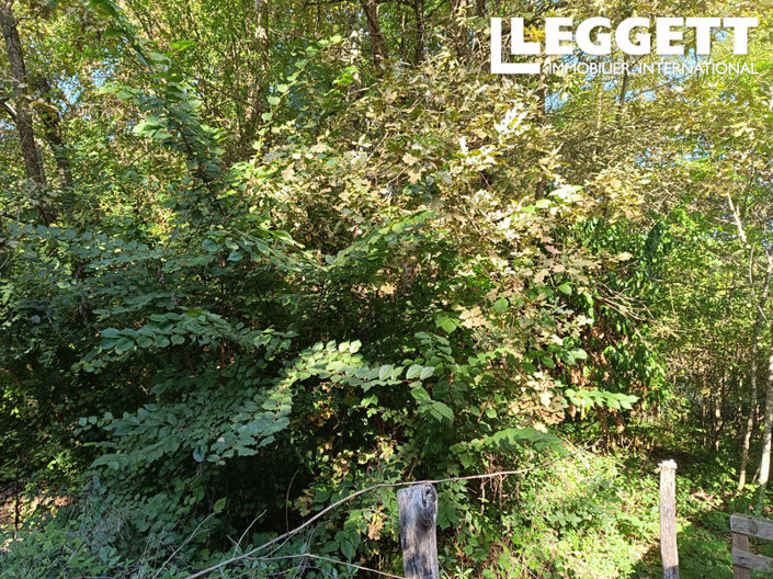 Image No.10-2 Bed House for sale