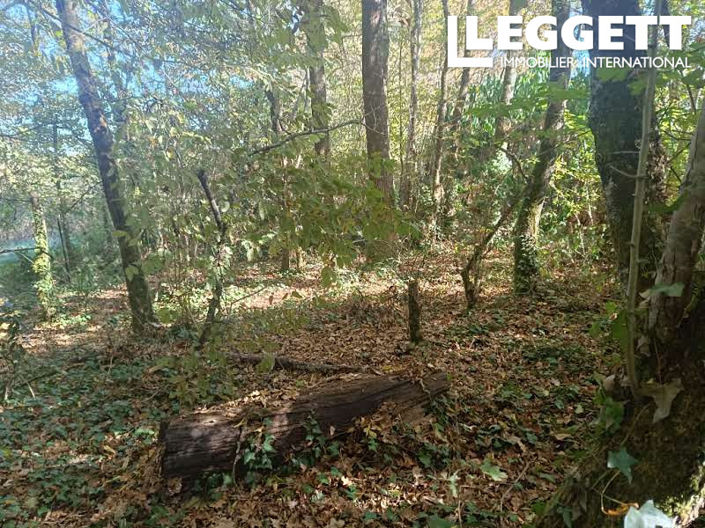 Image No.9-2 Bed House for sale