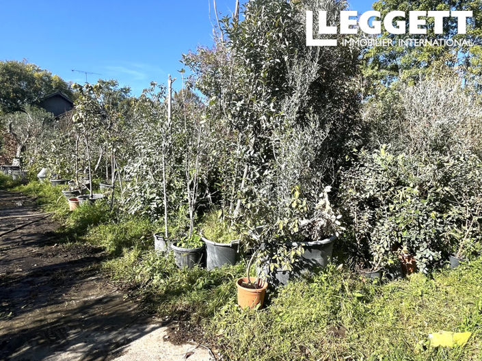 Image No.3-Bar for sale