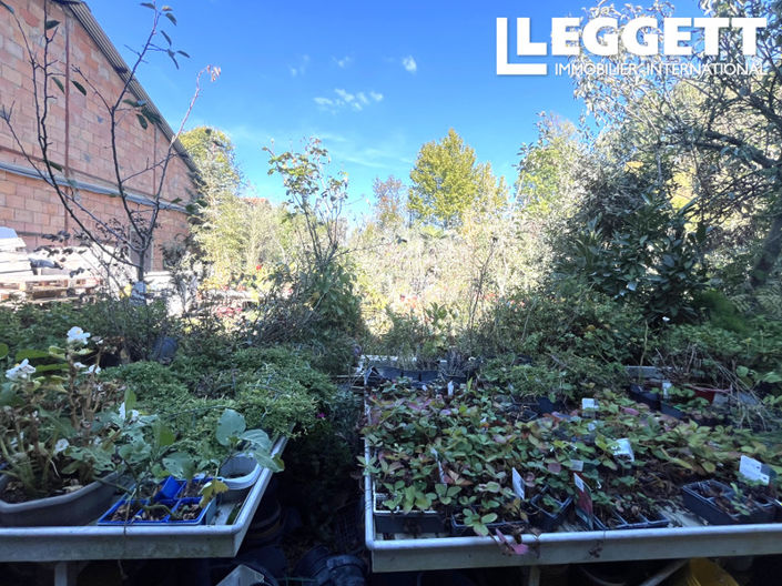 Image No.6-Bar for sale