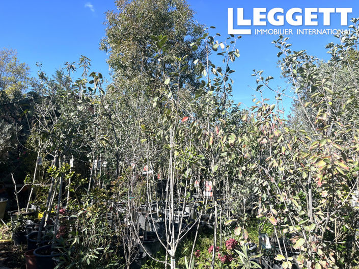 Image No.8-Bar for sale