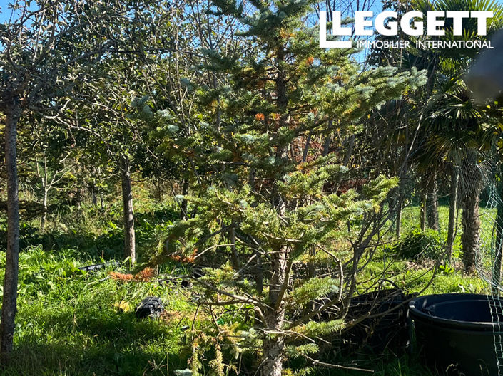 Image No.6-House for sale