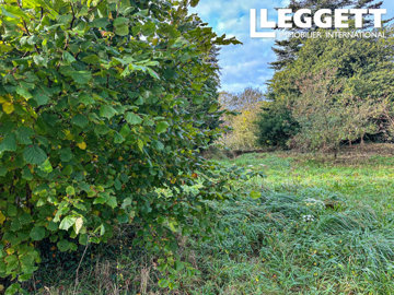 ahr0chm6ly9jzg4uagvzdglhlmltbw8vaw1hz2uvvevom