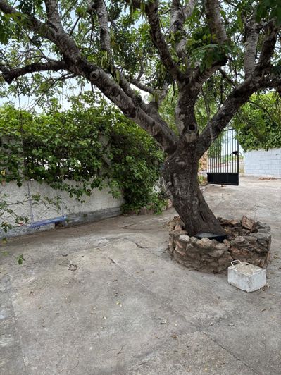 Image No.20-3 Bed Villa for sale