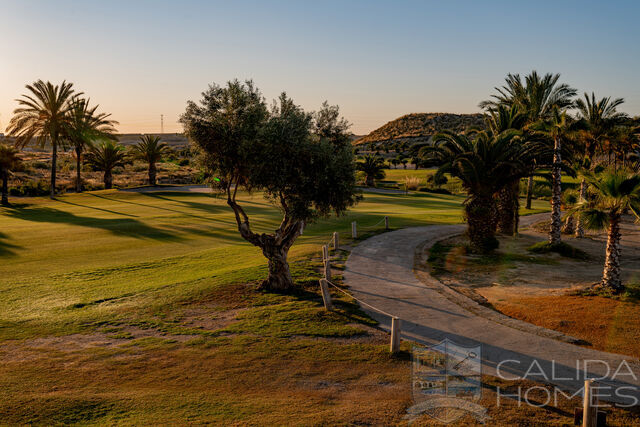 Image No.17-3 Bed Property for sale