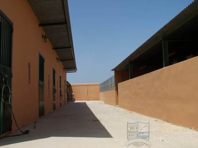 Image No.5-5 Bed Villa for sale