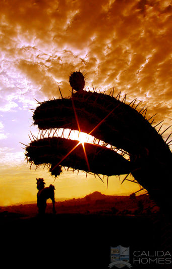 Image No.15-Propriété de 3 chambres à vendre à Cuevas del Almanzora