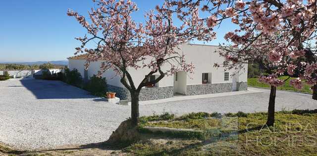 Image No.1-3 Bed Villa for sale