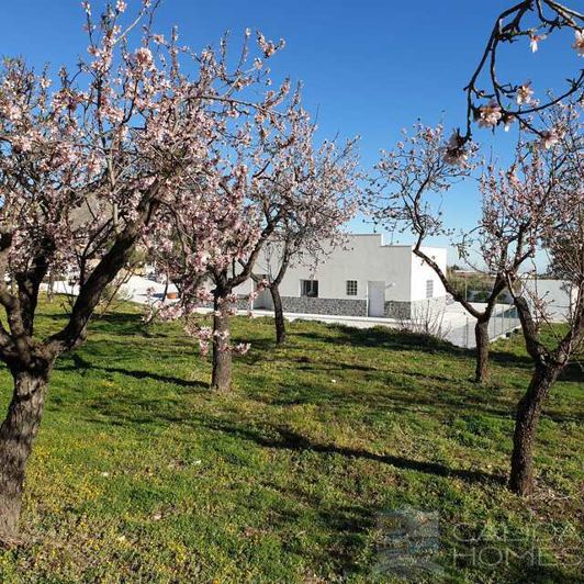 Image No.2-3 Bed Villa for sale